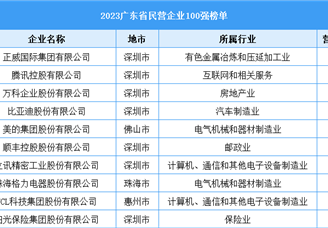 2023广东省民营企业100强（附榜单）