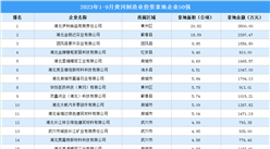 產業投資動態 | 2023年1-9月黃岡制造業投資拿地企業50強出爐！