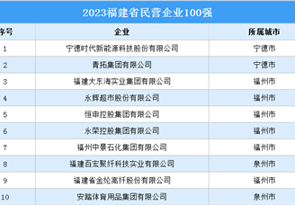 2023福建省民营企业100强（附完整榜单）