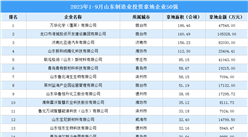 投資企業盤點 | 2023年1-9月山東制造業50強企業土地投資超63億元