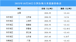2023年10月31日全國各地最新玉米價格行情走勢分析