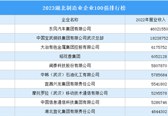2023湖北制造业企业100强排行榜（附榜单）