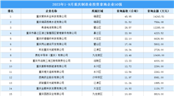 投資企業盤點 | 2023年1-9月重慶制造業50強企業土地投資超17億元