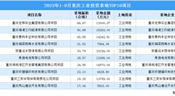 2023年1-9月重慶工業土地投資規模最大的十個項目匯總（圖）