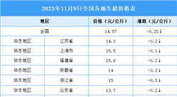 2023年11月10日全國各地最新生豬價格行情走勢分析