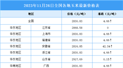 2023年11月27日全國各地最新玉米價格行情走勢分析