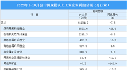 2023年1-10月全國規上工業企業利潤總額同比下降7.8%（圖）