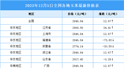 2023年12月6日全國各地最新玉米價格行情走勢分析