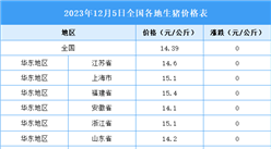 2023年12月6日全國各地最新生豬價格行情走勢分析