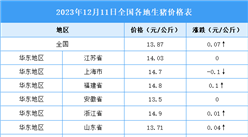 2023年12月12日全國各地最新生豬價格行情走勢分析