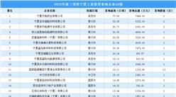 【產業投資情報】2023年前三季度寧夏工業土地投資50強企業總投資近7億