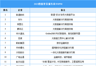 2023数据要素服务商TOP30（附榜单）