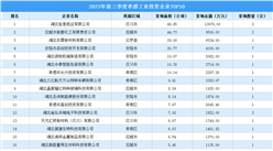 【投資跟蹤】2023年前三季度孝感工業土地投資TOP50企業涉地面積超366公頃
