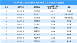 2024年中國純堿行業市場現狀及重點企業預測分析（圖）
