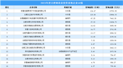 產業投資動態 | 2023年度合肥制造業投資拿地企業50強出爐！