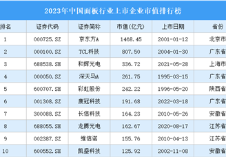 2023年中國面板行業上市企業市值排行榜（附榜單）