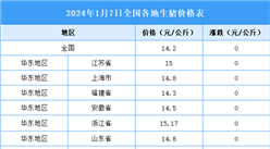 2024年1月8日全國各地最新生豬價格行情走勢分析