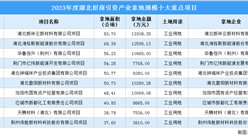 【項目投資動態】2023年度湖北招商引資產業拿地規模十大重點項目盤點