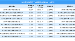 2023年度武漢工業土地投資規模最大的十個項目匯總（圖）