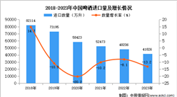 2023年中國啤酒進口數據統計分析：進口量同比下降13.2%