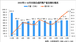 2023年12月全國合成纖維產量數據統計分析