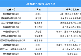 2023苏州民营企业100强（附名单）