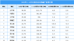 2023年全國各省市燒堿產量排行榜