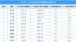 2023年全國各省市平板玻璃產量排行榜