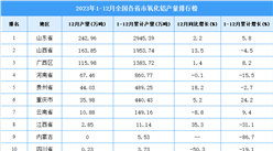 2023年全國各省市氧化鋁產量排行榜