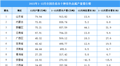 2023年全國各省市十種有色金屬產量排行榜