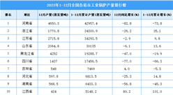 2023年全國各省市工業鍋爐產量排行榜