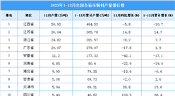 2023年全國各省市銅材產量排行榜