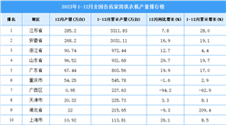 2023年全國各省市家用洗衣機產量排行榜