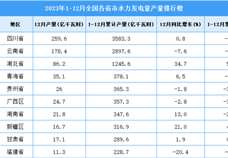2023年全国各省市水力发电量排行榜