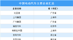 2024年中國電動汽車市場現狀及主要企業預測分析（圖）