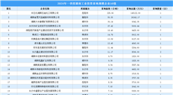 投資情報速遞 | 2024年一季度湖南工業土地投資50強企業拿地面積668公頃