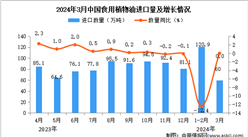 2024年3月中國食用植物油進口數據統計分析：進口量60萬噸