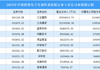 2023年中國消費電子零部件及組裝行業上市公司業績排行榜（附榜單）