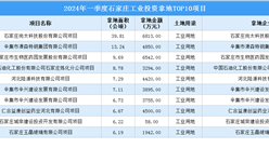 抓項目擴投資 2024年一季度石家莊工業投資TOP10項目總投資超4億
