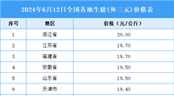 2024年6月13日全國各地最新生豬價格行情走勢分析