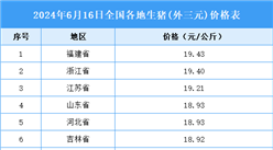 2024年6月17日全國各地最新生豬價格行情走勢分析