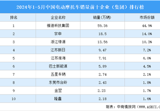 2024年1-5月中国电动摩托车销量前十企业（集团）排行榜（附榜单）