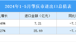 2024年1-5月肇慶市進出口數據統計：出口金額同比增長8.70%（圖）