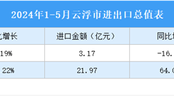 2024年1-5月云浮市進出口數據統計：出口金額同比增長40.53%（圖）