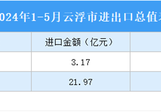 2024年1-5月云浮市進出口數據統計：出口金額同比增長40.53%（圖）