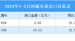 2024年1-5月河源市進出口數據統計：進口金額同比增長21.51%（圖）