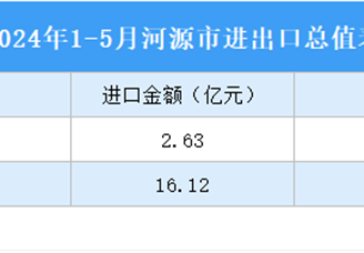 2024年1-5月河源市進出口數據統計：進口金額同比增長21.51%（圖）