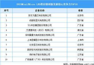 2023 Mini/Micro LED供应链创新发展核心竞争力TOP10（附榜单）