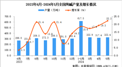 2024年5月全國純堿產量數據統計分析