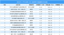 投資情報速遞 | 2024年上半年蘇州工業土地投資50強企業總投資超22億
